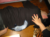 ferret in torute