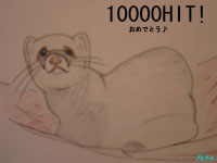 tFbg